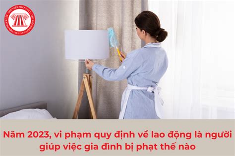 N M Vi Ph M Quy Nh V Lao Ng L Ng I Gi P Vi C Gia Nh B