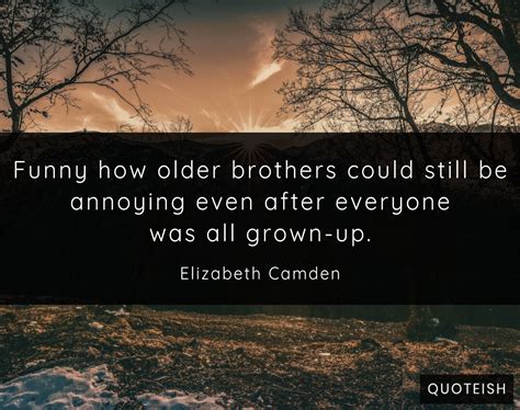 13 Quotes On Older Brother - QUOTEISH