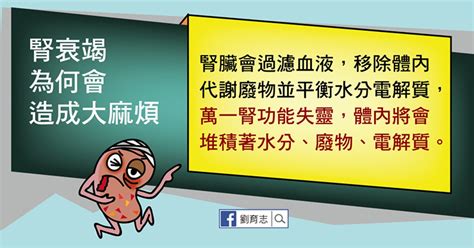 【腎衰竭】3大原因可致急性腎衰竭 惡化速度快或需緊急洗腎救命｜醫師easy