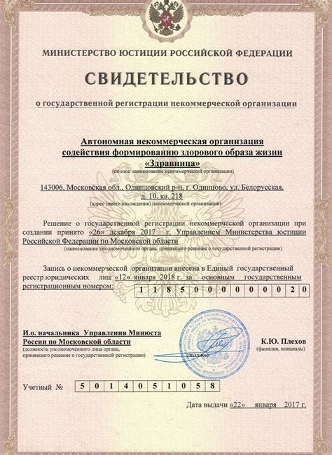 Что такое санокс паша техник