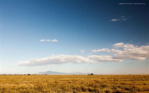 Serengeti National Park Wallpapers - Wallpaper Cave