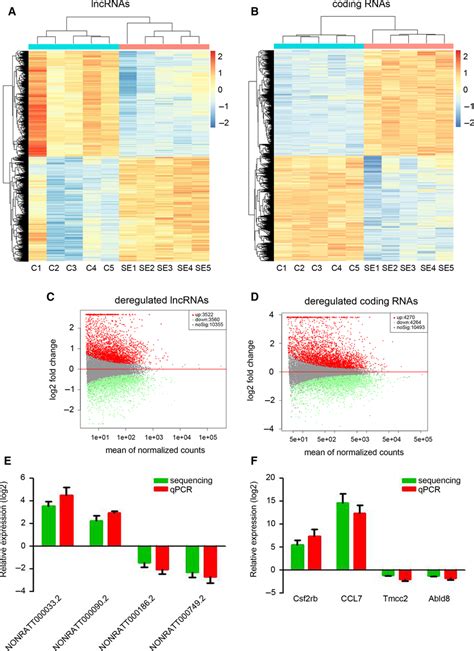 Expression Profile Of Lncrnas In The Hippocampus Of Immature Rats