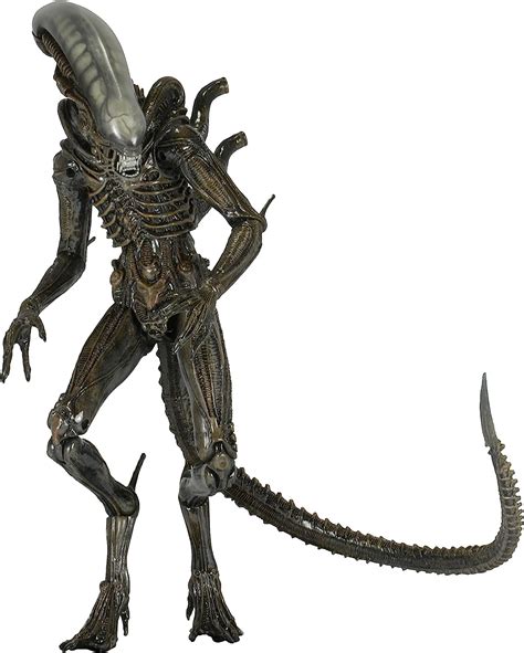 Buy Neca Aliens Series Isolation Xenomorph Action Figure Scale