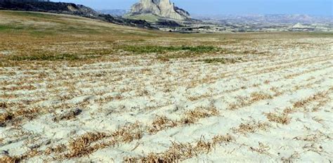 La Sequía Asfixia Ya Al 80 Del Campo Español Y Produce Pérdidas