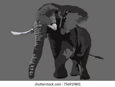 Large Elephant Tusks On Brown Background Stock Vector (Royalty Free ...