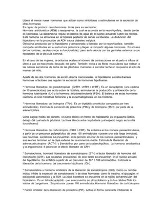 Hipotalamo Pdf