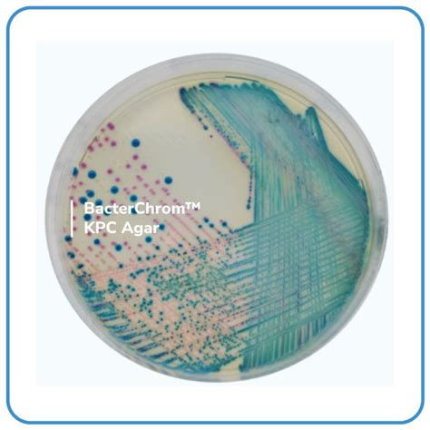 BacterChrom KPC Agar Bacterlab