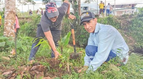 Pastaza Prefectura restaura plantas nativas de la zona Noti Amazonía