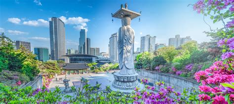 The Best Temples In South Korea Cuddlynest