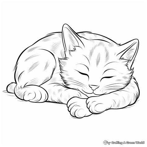 Tabby Cat Coloring Pages Free Printable