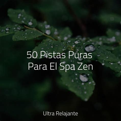 50 Pistas Puras Para El Spa Zen Canciones De Cuna Para Dormir Bebes