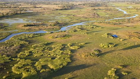 [100+] Okavango Delta Wallpapers | Wallpapers.com