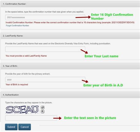 How To Check Dv Lottery Result Check Your Edv Result