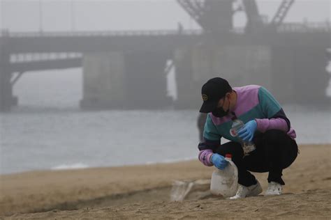 Queilen dará la bienvenida al verano con limpieza de playa este jueves