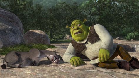 22 Times Shrek And Donkey Perfectly Captured A Night Out With Your BFF