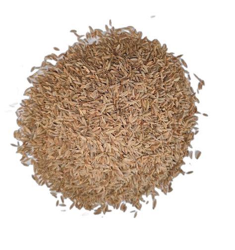 Brown Organic Cumin Seed Packaging Type Loose At Rs 285 Kg In Jabalpur