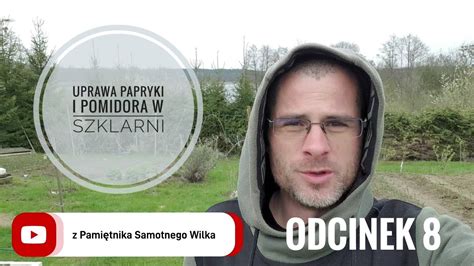 Pomidor I Papryka Czas Na Sadzenie Do Gruntu Odcinek 8 YouTube