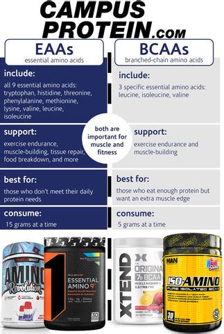 EAA vs BCAA: Which is better l Supplements l Science l Campus Protein