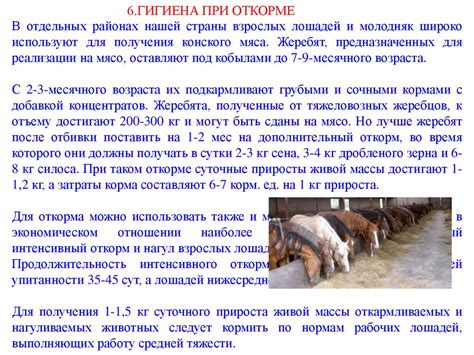 Лекция №12 Гигиена содержания лошадей - презентация онлайн