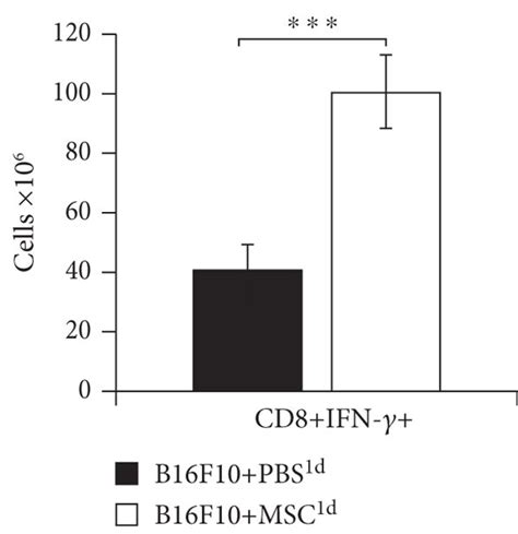 MSCs Injected 24 H After Melanoma Induction Significantly Enhanced NK