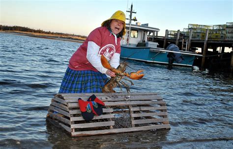 Shell Abrate The Annual Nova Scotia Lobster Crawl Event Modern