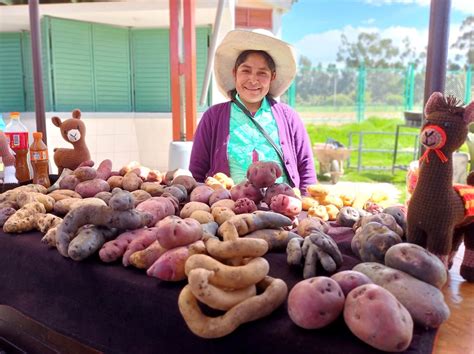 Cajamarca Con Feria De Productores Agricultores Celebrar N El D A