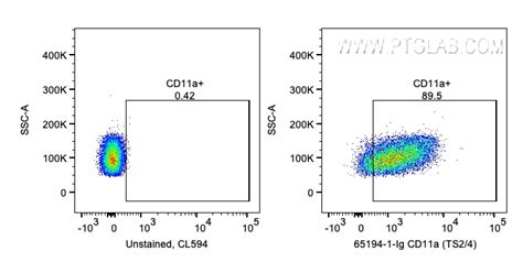 Cd A Antibody Ig Proteintech