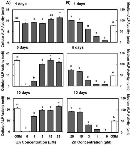 Alp Activity In Osteoblastic Mc T E Cells By Zinc Alkaline