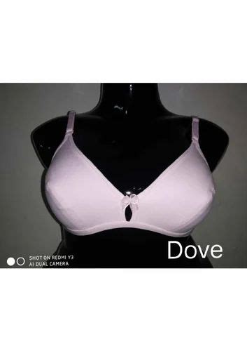 Plain Cotton Ladies Padded Bra At Best Price In Tronica City Id 2849058909833