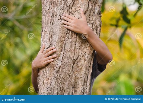 Environmentalist Tree Hugger Is Hugging Wood Trunk In Forest Female