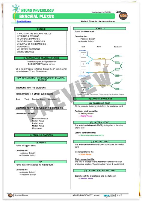 Brachial Plexus Notes Ninjanerd Medicine