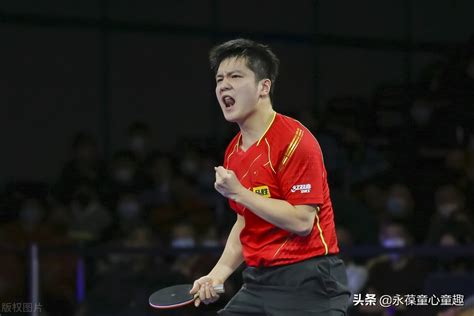 Wtt總決賽即將開戰，樊振東、陳夢領銜男女16位高手角逐 資訊咖