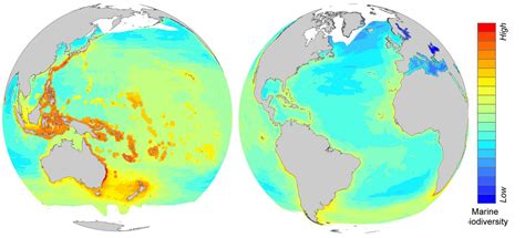 Hot Spots Of Marine Biodiversity Most Severel Eurekalert