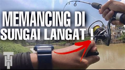 MEMANCING PATIN DI SUNGAI LANGAT DENGKIL YouTube