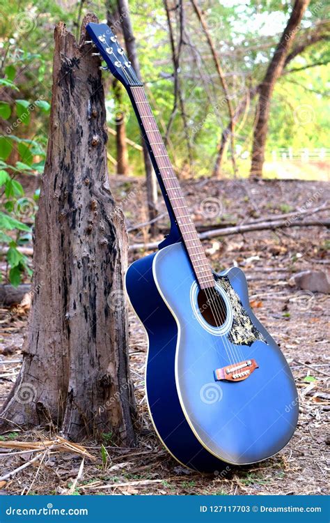 Blue acoustic guitar stock image. Image of guitar, blue - 127117703