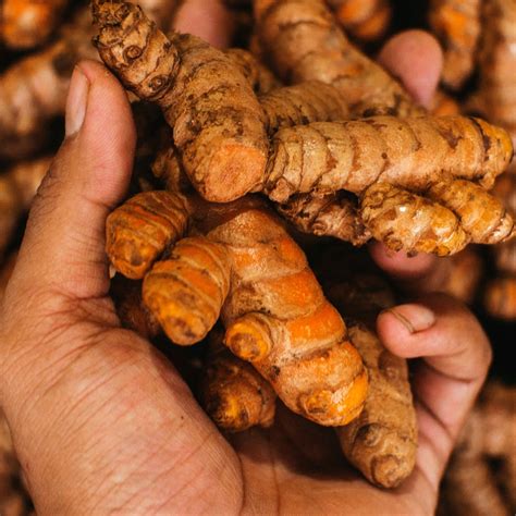 Organic India Turmeric Root Lb Whole Culinary Tumeric Not For