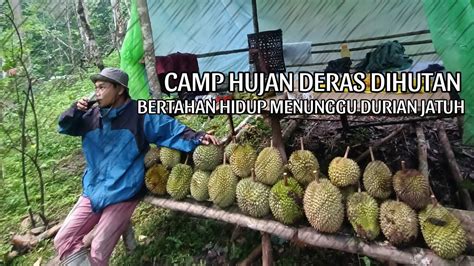 Camp Hujan Deras Dihutan Cari Durian Menginap Dan Bertahan Hidup