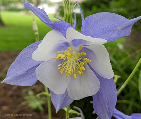 Why Our Worth Fluctuates More Than a Stock Market Commodity - Theresa