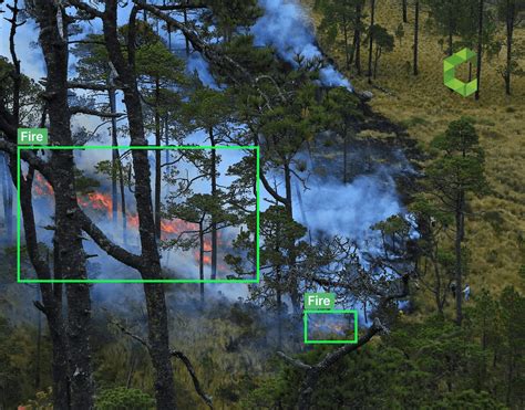 Forest Fire Detection And Segmentation Using Yolov