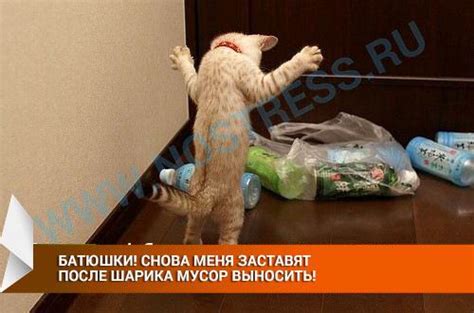 Пушистые антидепрессанты.