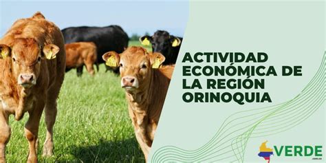 Actividad Econ Mica De La Regi N Orinoquia Colombia Verde