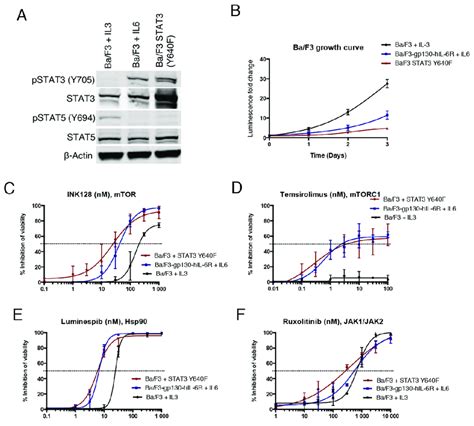 Stat Dependent Ba F Cells Show Increased Sensitivity To Hsp And