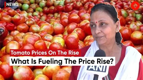 Tomato Price Hike Tomato At Rs Kg What Is Fueling The Price Rise