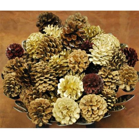 Finished Regal Assorted Pine Cones Great Holiday Pine Cones