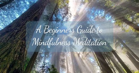 A Beginners Guide To Mindfulness Meditation