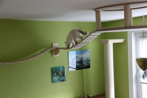 This Guy Designs And Builds The Most Awesome Cat Jungles Gallery