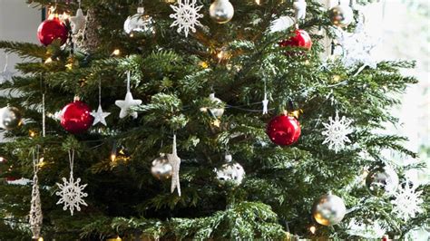 Árbol de Navidad por qué se arma el 8 de diciembre y los mejores