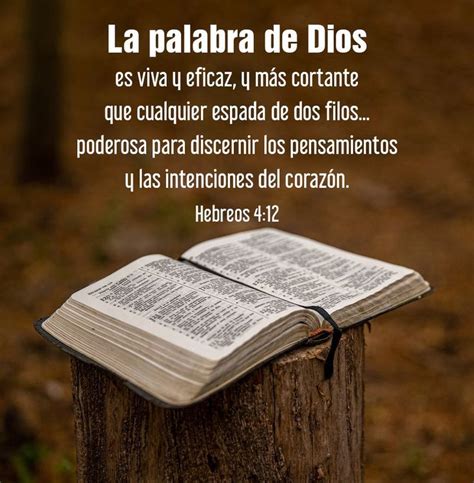 La Palabra De Dios Es Viva En 2023 Palabra De Dios Palabra De