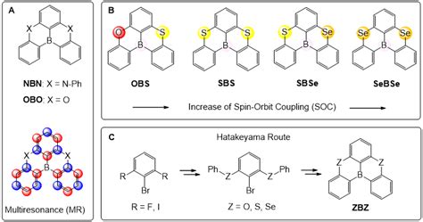 Facile Synthetic Access Towards Sulfur- and Selenium-Functionalized