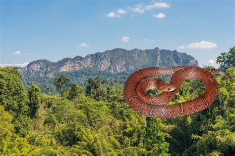 Lovci Na Reptile Otkrili Potpuno Novu Vrstu Zmije